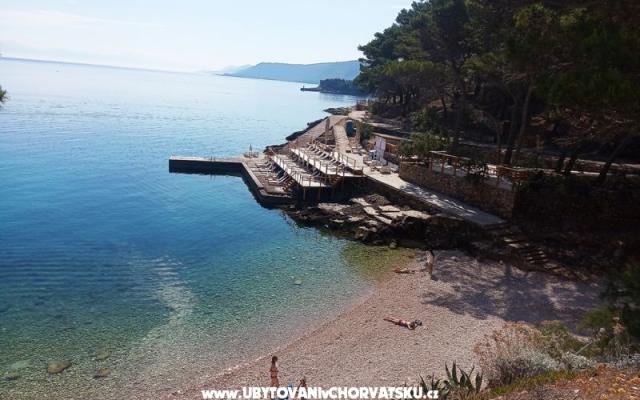 ApartmaniNikolinaGrgicevic - smještaj otok Hvar Hrvatska