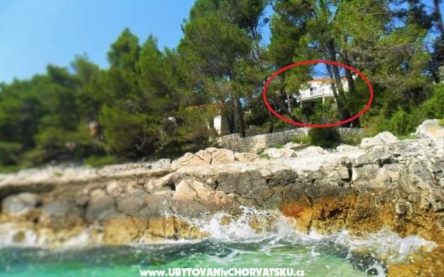 Apartmani Marica P. - smještaj otok Korčula Hrvatska