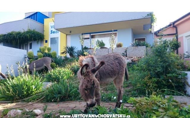 Villa Suzi - smještaj Kraljevica Hrvatska