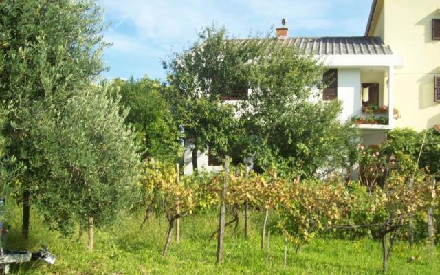Apartmani Vasilić - smještaj otok Krk Hrvatska