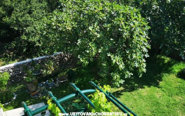 Apartmani Garden paradise - smještaj Makarska Hrvatska