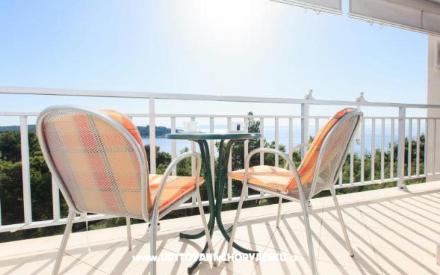 Apartmani Veronika - smještaj Makarska Hrvatska