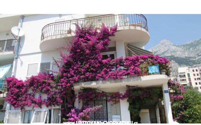 Apartmani ANTE - smještaj Makarska Hrvatska