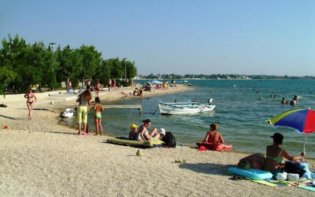 Ruža - smještaj Nin - Zadar Hrvatska