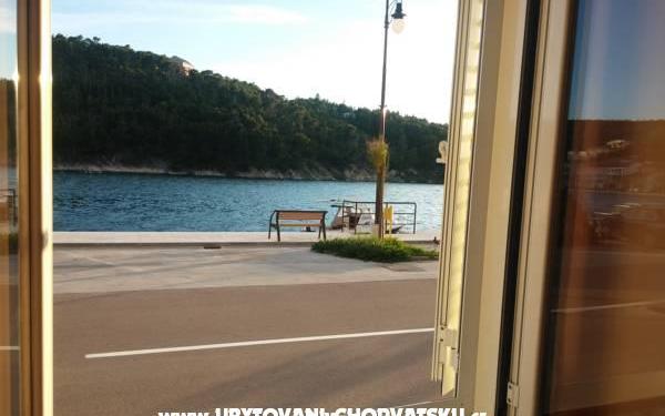 Sea View Apartman Dino - smještaj Novigrad Hrvatska