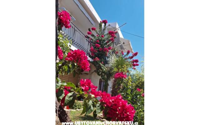 Apartmani Sokolić - smještaj Novi Vinodolski Hrvatska