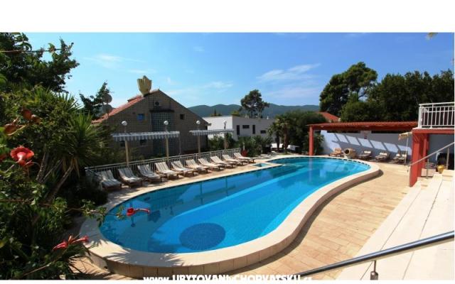 Apartmani Villa Mediterrane - smještaj Orebić - Pelješac Hrvatska
