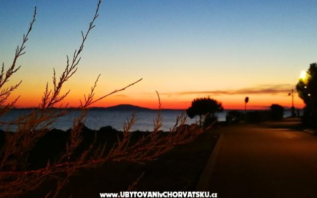 Apartmani Elenor - smještaj otok Pag Hrvatska