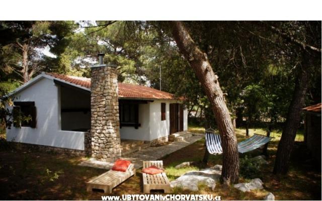 Pine Villa - smještaj Pakoštane Hrvatska