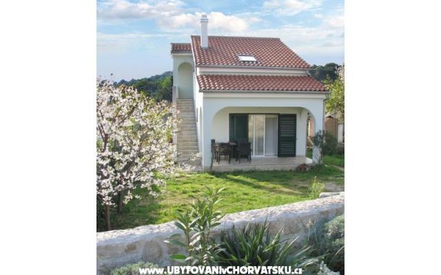 Apartman Niko - smještaj otok Pašman Hrvatska