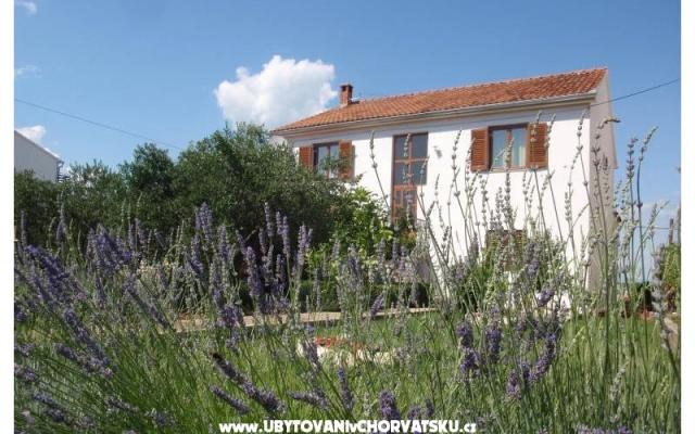 Apartmani Blazenka - smještaj otok Pašman Hrvatska
