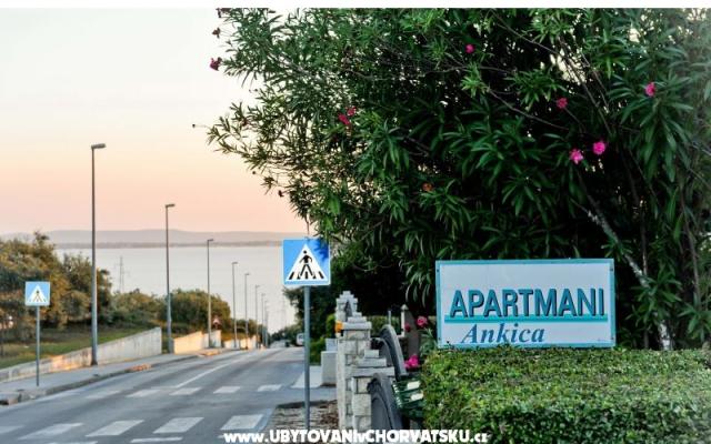 Apartmani Ankica - smještaj Petrčane Hrvatska