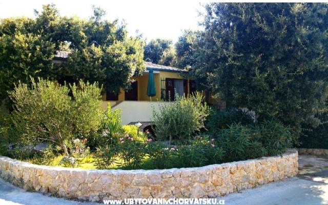 Apartmani Dani - smještaj Petrčane Hrvatska