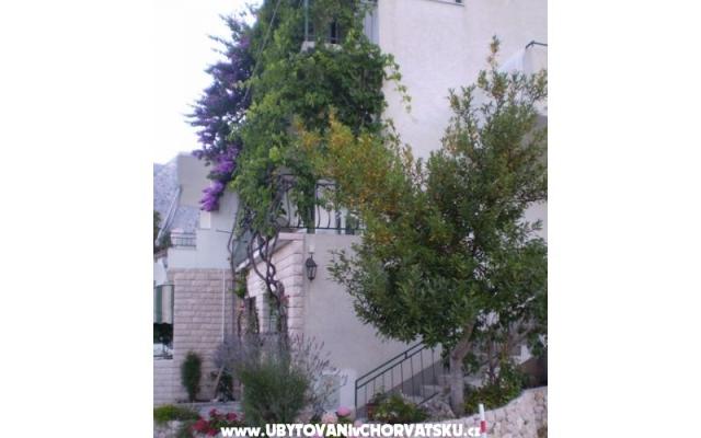Apartmani Antonela - smještaj Podgora Hrvatska