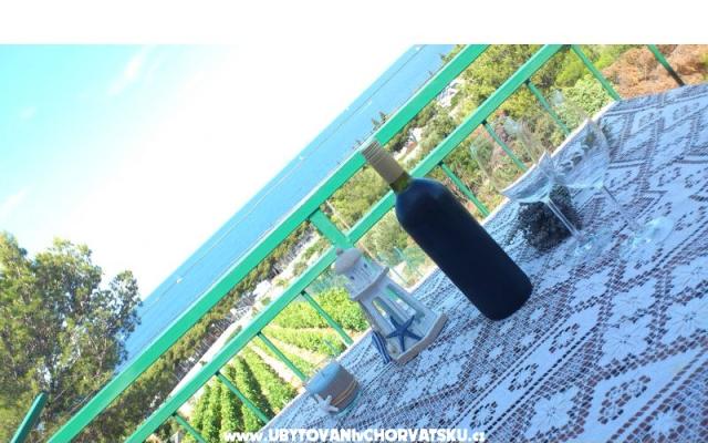 Apartmani vila Diana - smještaj Primošten Hrvatska