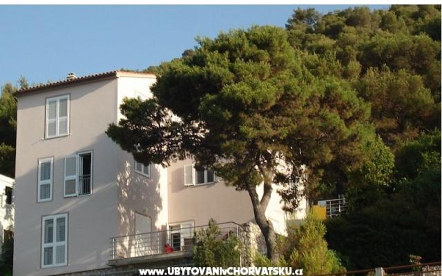 Vila Andrea - smještaj Primošten Hrvatska