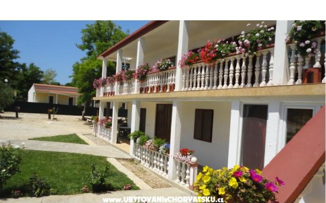 Apartmani Ankica - smještaj Privlaka Hrvatska