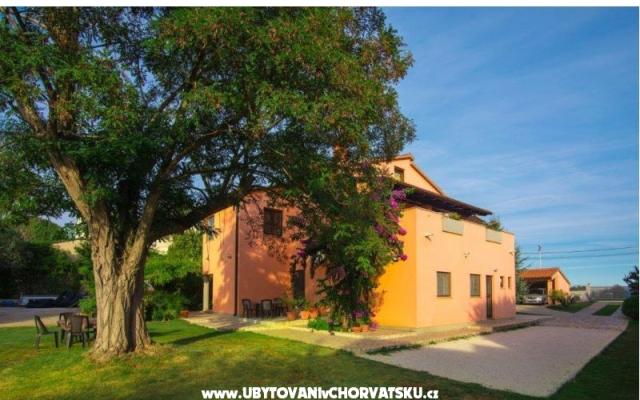Apartmani Viktor - smještaj Pula Hrvatska