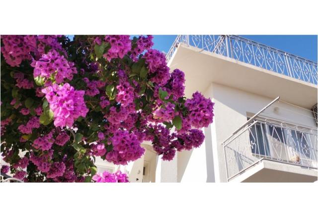 Apartman Mare - smještaj Šibenik Hrvatska