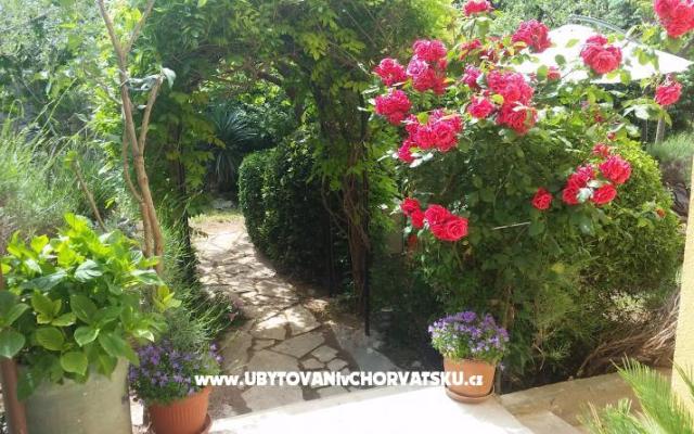 Vila Arboretum Šibenik - smještaj Šibenik Hrvatska