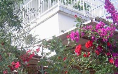 Apartmani Zdravka -15% - smještaj otok Šolta Hrvatska