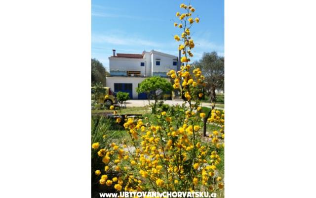 Apartman Marin - smještaj Sveti Petar Hrvatska