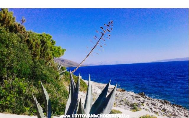 Goga Apartmani - smještaj Trogir Hrvatska