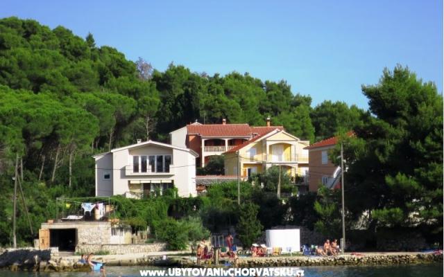 Apartmani Tereza - smještaj otok Ugljan Hrvatska
