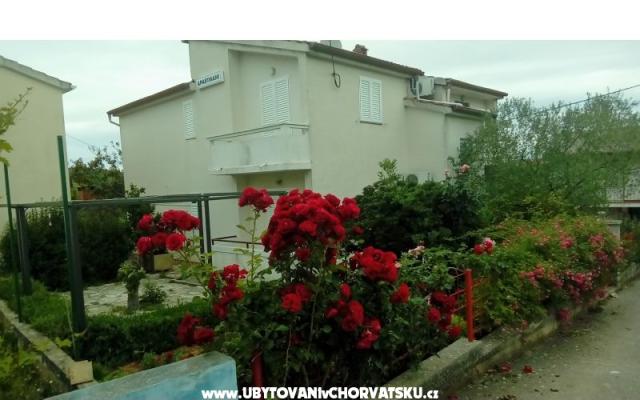 Apartmani Tomislav - smještaj otok Ugljan Hrvatska