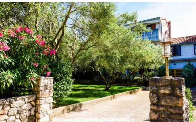 Apartmani Mrva - smještaj otok Ugljan Hrvatska