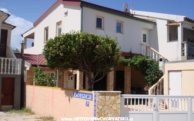 Apartman Marovic - smještaj otok Vir Hrvatska