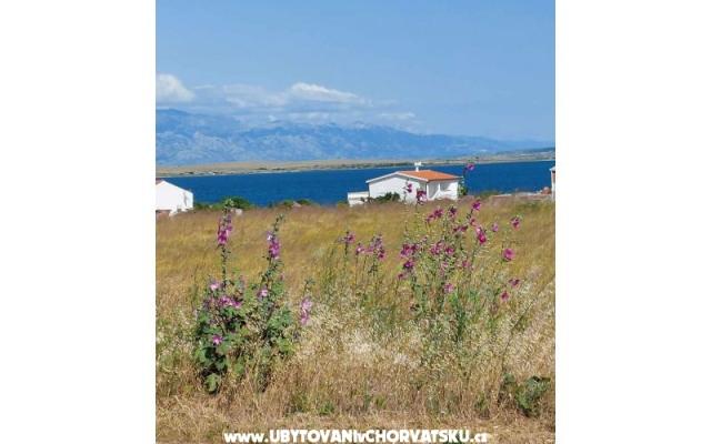 Apartmani Mišković - smještaj otok Vir Hrvatska