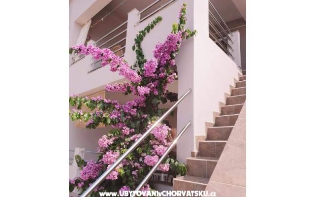 Apartmani Maja - smještaj otok Vir Hrvatska