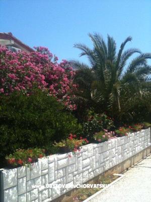 Apartman Lučica - smještaj otok Vir Hrvatska