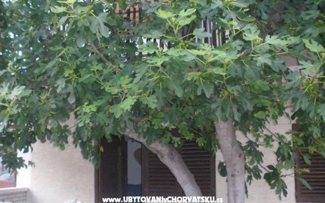Apartmani  Smokva   - smještaj Vodice Hrvatska