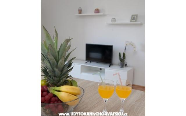 Apartman "Roko" - smještaj Zadar Hrvatska