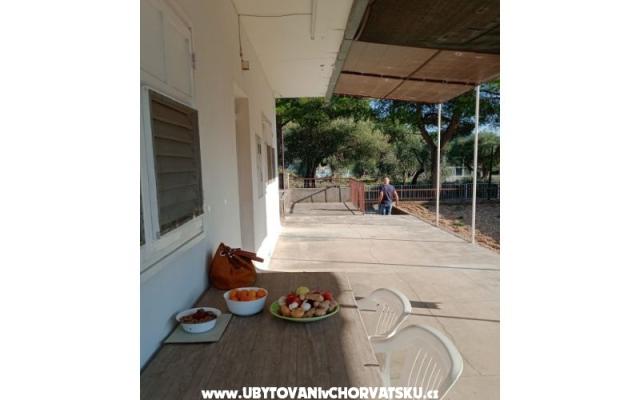 Apartman Viter - smještaj Zaostrog Hrvatska