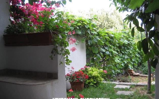 Apartmani Brajković - smještaj Živogošće Hrvatska