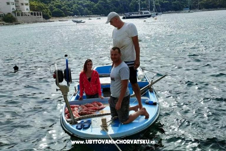 Apartmani Ivo Mljet – foto 5