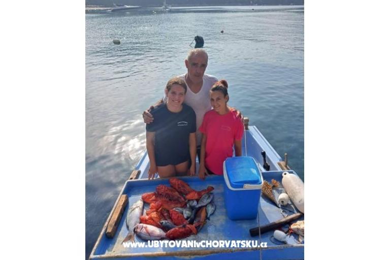 Apartmani Ivo Mljet – foto 7