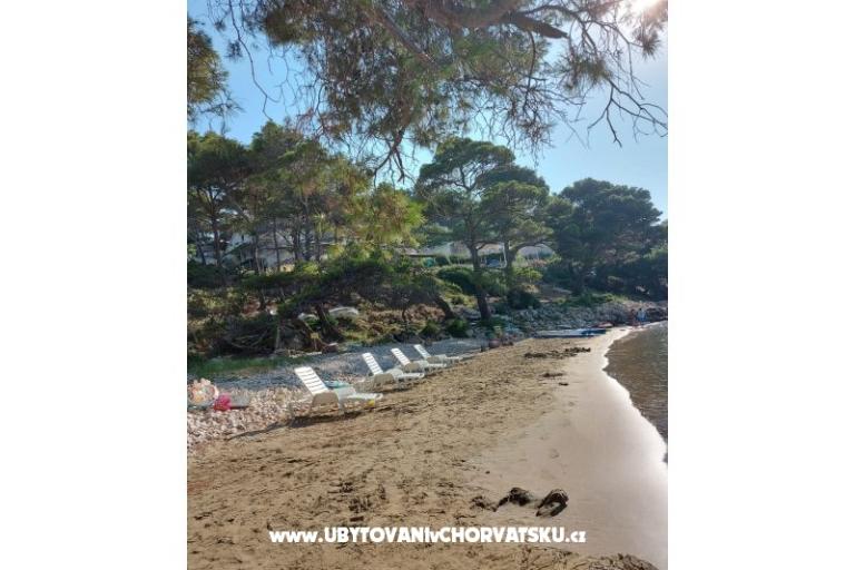 Apartmani Ivo Mljet – foto 8