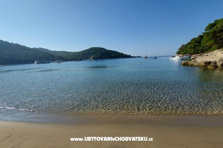 Apartmani Ivo Mljet – foto 9