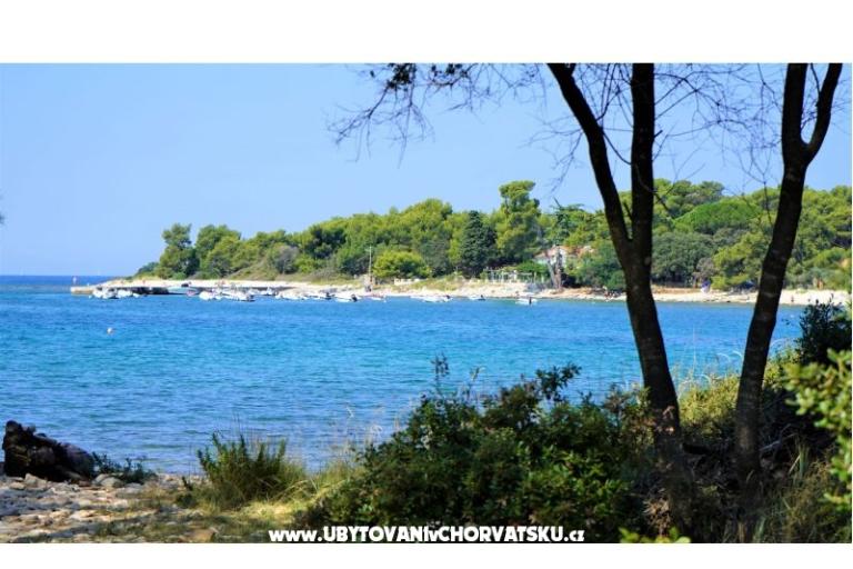 Apartmani Lisicak – foto 6