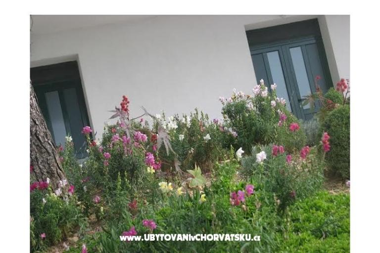 Ana Apartmani – foto 11