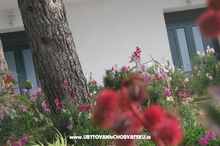Ana Apartmani – foto 18