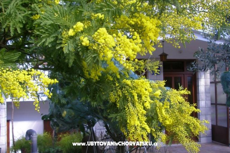 Apartmani Bašković – foto 17