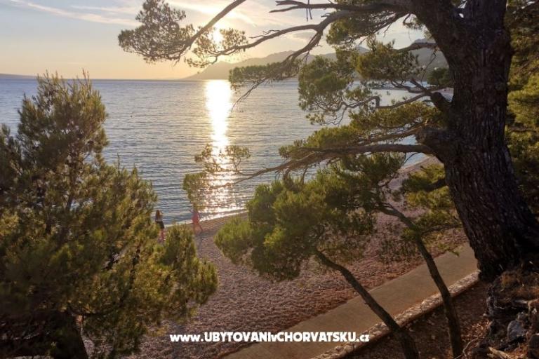 Apartmani Divić - Villa Mateo  – foto 27