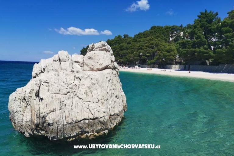 Apartmani Divić - Villa Mateo  – foto 32