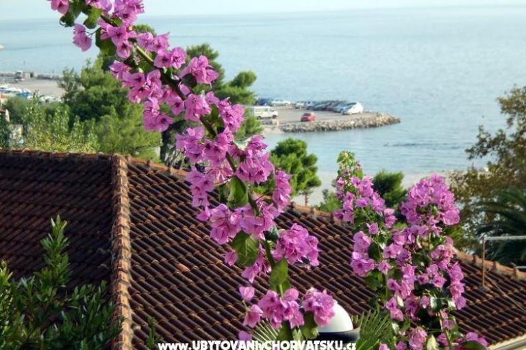 Apartmani Jurišić – foto 17