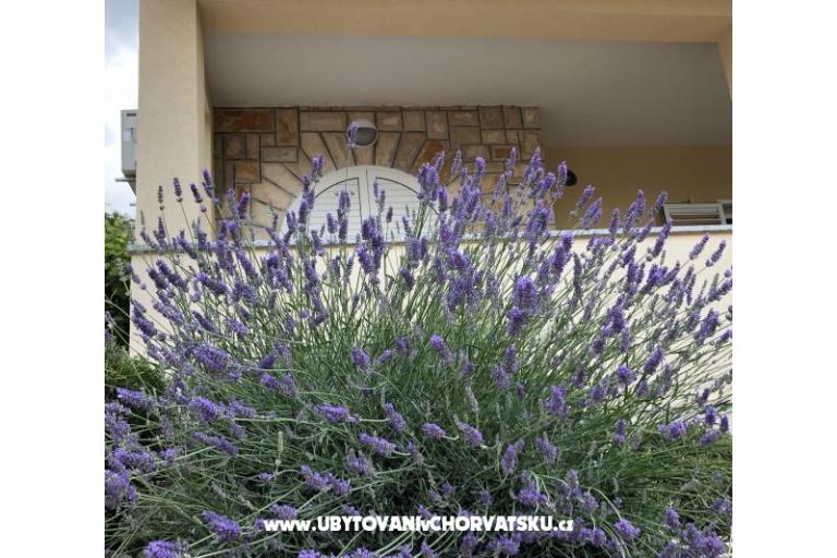 Apartmani Iva – foto 10